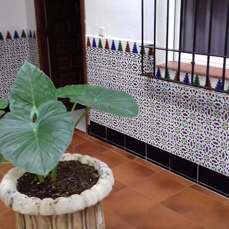Patio Pompeyos Apartment Cordoba Luaran gambar