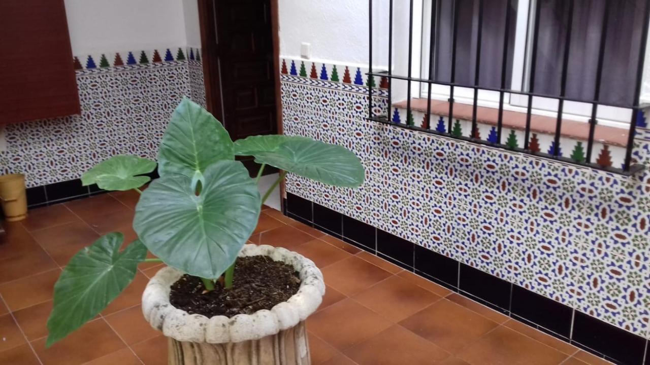 Patio Pompeyos Apartment Cordoba Luaran gambar